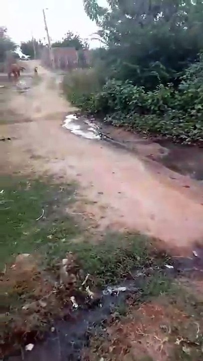 Moradores do Mutirão denunciam esgoto estourado há mais de dois meses e cobram solução