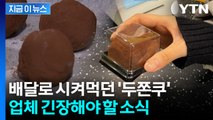 '두쫀쿠' 광풍 정조준...대대적으로 칼 뺀 식약처 [지금이뉴스] / YTN