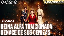 [doblado] Reina Alfa traicionada renace de sus cenizas