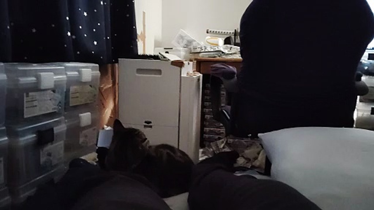 飼い主の足にくっついてくつろぐココア6