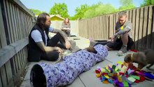 Pete Wicks: For Dogs' Sake - Season 3 Episode 2 - Nugget, Tetley and the Police Pups