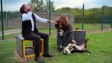 Pete Wicks: For Dogs' Sake - Season 3 Episode 4 - The Greyhounds, Sam and Pebbles