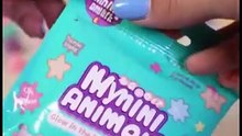 Mini Glow in the Dark Animal Resin Models Mystery Bags