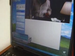 IBM T31 Laptop Overview