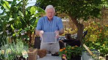 Better Homes and Gardens Summer 2025 Season 22 Episode 2
