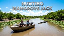 Hunting Mangrove Jack