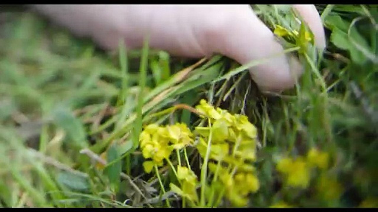 À bras-le-corps | movie | 2025 | Official Trailer