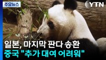 일본 마지막 판다 2마리 오늘 중국 송환...추가 대여 어려워 / YTN