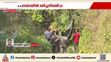 ശാസ്താംമുകളിലെ പാറമടയിൽ സ്‌കൂൾ വിദ്യാർത്ഥിനി മരിച്ച നിലയിൽ