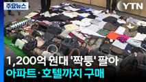 1,200억 원대 ’짝퉁’ 팔아 아파트·호텔까지 구매 / YTN