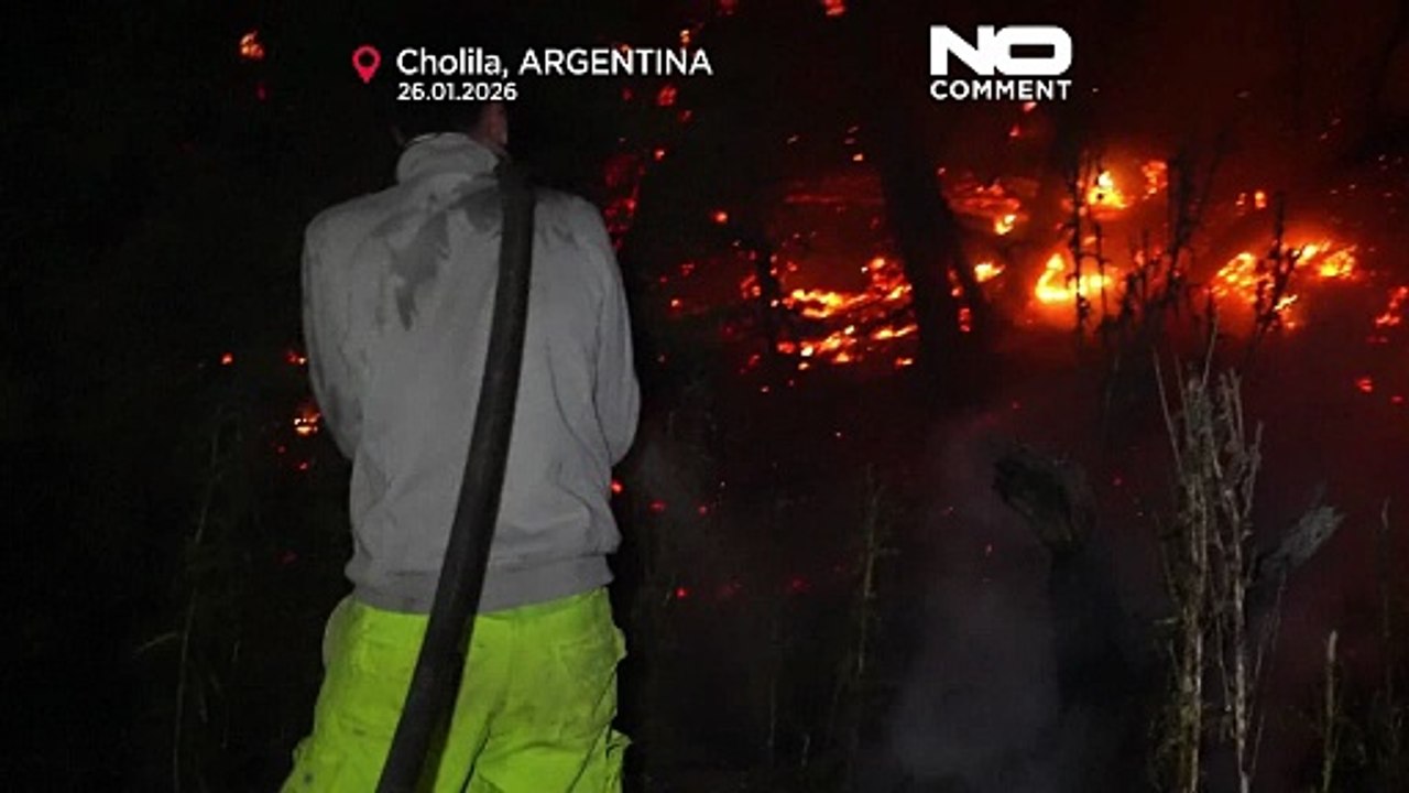 Waldbrände im argentinischen Patagonien flammen erneut auf: über 30.000 Hektar in Brand