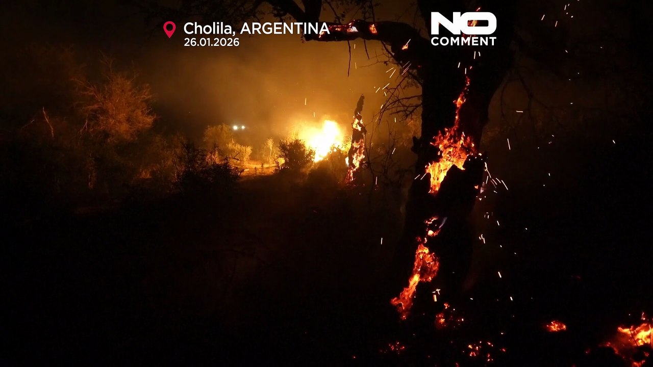 Los incendios forestales en la Patagonia argentina se reavivan y queman más de 30.000 hectáreas