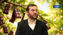 הלכות ברכת הפירות חלק ג' - למה לא מברכים על השוקולד בורא פרי העץ? | מה מברכים על ממרחים וריבות?