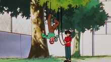 Ranma 1/2 - Episode 116 : The Secret Don of Furinkan High