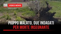 Pioppo malato, due indagati per morte insegnante
