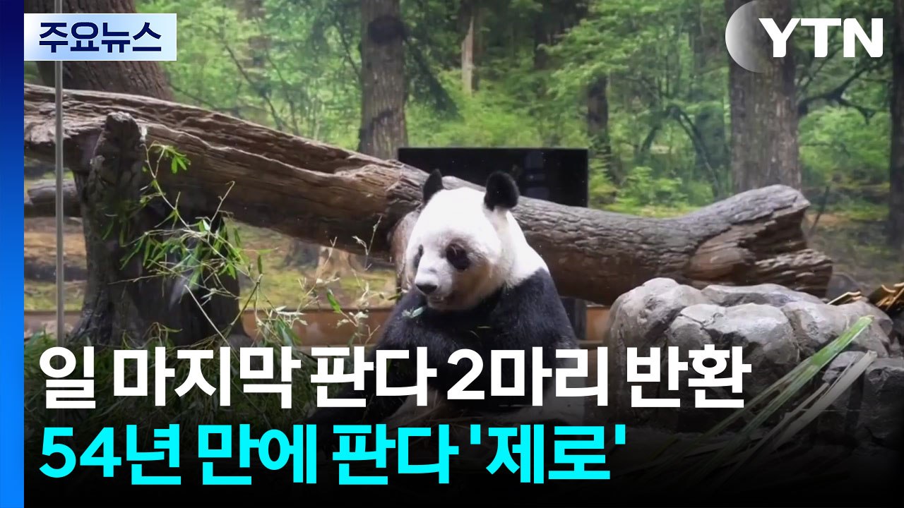 일 마지막 판다 2마리 반환...54년 만에 판다 ’제로’ / YTN