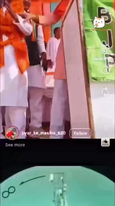 Billi Treats Cat Food | 26% Off Homemade Wet Cat Food for Happy Cats 🐱