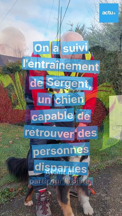 On a suivi l'entraînement de Sergent, un chien capable de trouver des personnes disparues (et c'est bluffant)