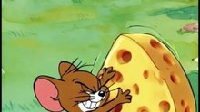 Tom & Jerry Cartoon