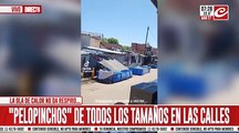 Virales: habitantes de la ciudad combaten la ola de calor como pueden