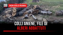 Colli Aniene, i residenti lanciano l'allarme: 