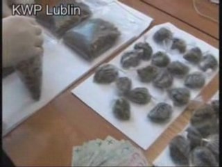 Konopie za 28 tys. zł w szafie