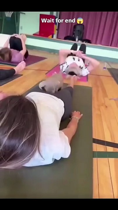 What a rascal !