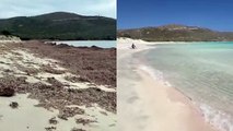 Teulada, il paradiso di Cala Zafferano devastato dalla tempesta: un tappeto di alghe e dune crollate