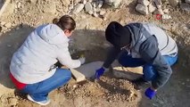 Adıyaman'da, Göbeklitepe izleri...