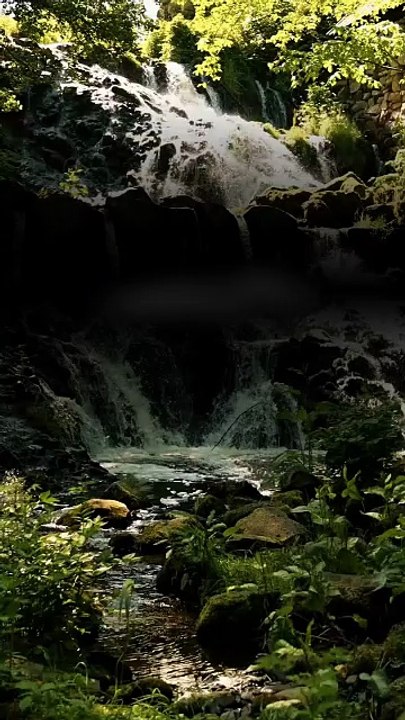 🔥 Surah Al-Kahf 18:24 — سورة الكهف⚡Never Say “Tomorrow”… Without Remembering Allah ⏳🤍 #love #Quran #Viral #shorts #trending #YouTubeShorts #fyp #short