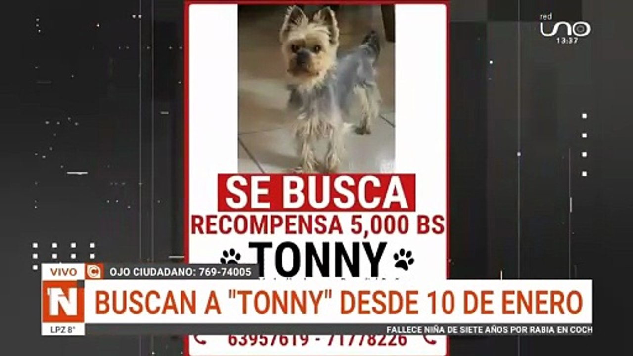 SE BUSCA PERRO