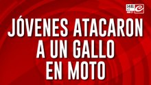 Jóvenes atacaron a un gallo en moto y lo pasaron por arriba varias veces