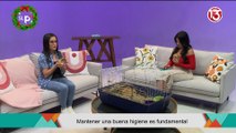 SLP Miércoles 17 dic entrevista Cuidados de la piel y uñas de cuilos