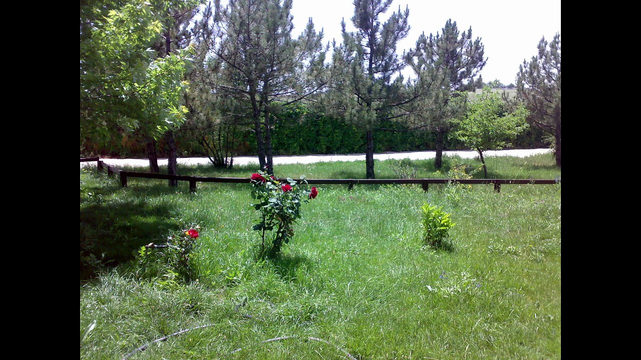 Paul Mauriat - Jamais Je Ne Vivrai Sans Toi