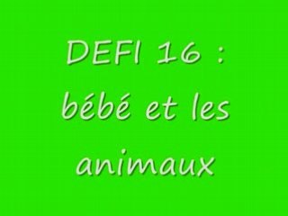 DEFI 16_0001