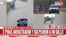 Maltrato animal en Santiago del Estero