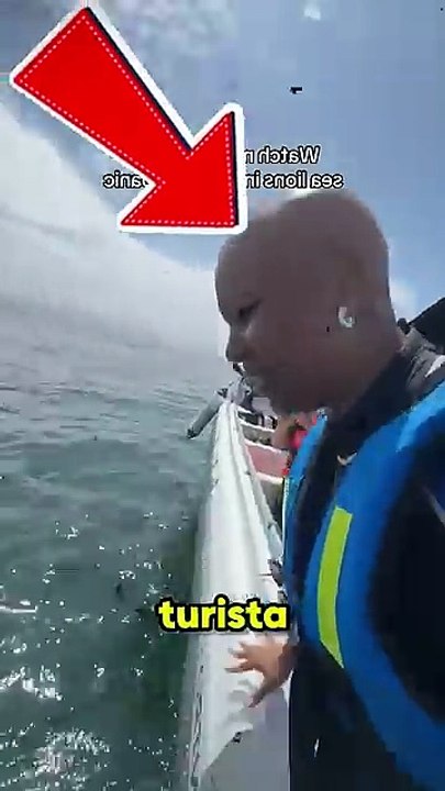 Ela quis TESTAR esses LEÕES-MARINHOS