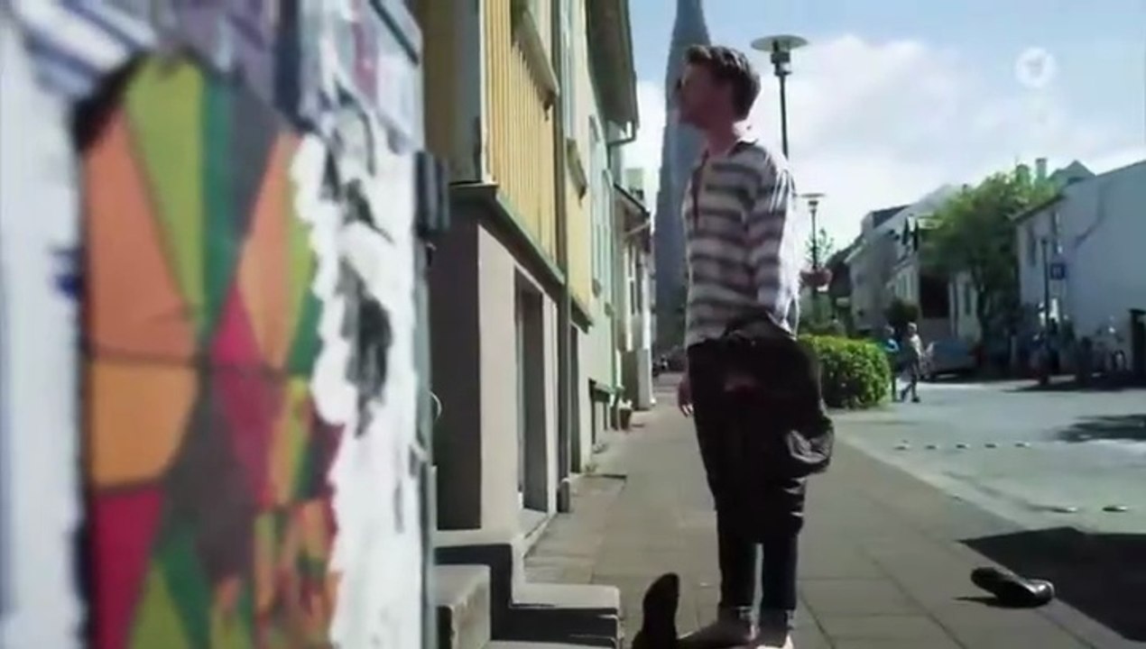 Der Island-Krimi - Der Tote im Westfjord