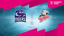 Highlights von Straubing Tigers - Nürnberg Ice Tigers