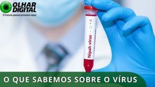 Nipah: novo surto do vírus na Ásia acende alerta em aeroportos