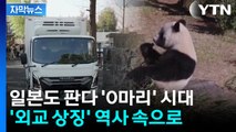 [자막뉴스] '외교 상징' 역사 속으로...일본도 판다 ‘0마리’ 시대 / YTN