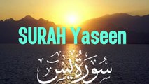 Surah Yaseen Full | दिल को सुकून देने वाली तिलावत | Surah Yaseen Quran Recitation . Abbasi Quran Studio