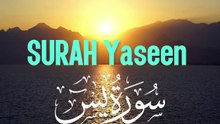 Surah Yaseen Full | दिल को सुकून देने वाली तिलावत | Surah Yaseen Quran Recitation . Abbasi Quran Studio