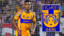 Tigres tiene un plan; Joaquim Pereira se manifiesta a la falta de refuerzos
