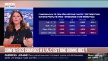 LE CONSEIL CONSO - Plus d'un Français sur deux demande à l'IA de comparer les prix pour faire ses courses, mais est-ce une bonne idée?