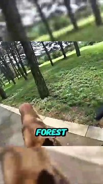 #viral #facts #shorts #reels #english #unitedstates #real #trendingnow (3)