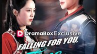 Falling for You Time and Again Drama Movies English Sub