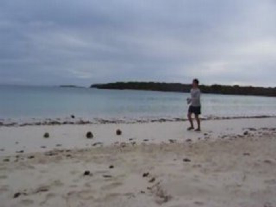 coco petanque