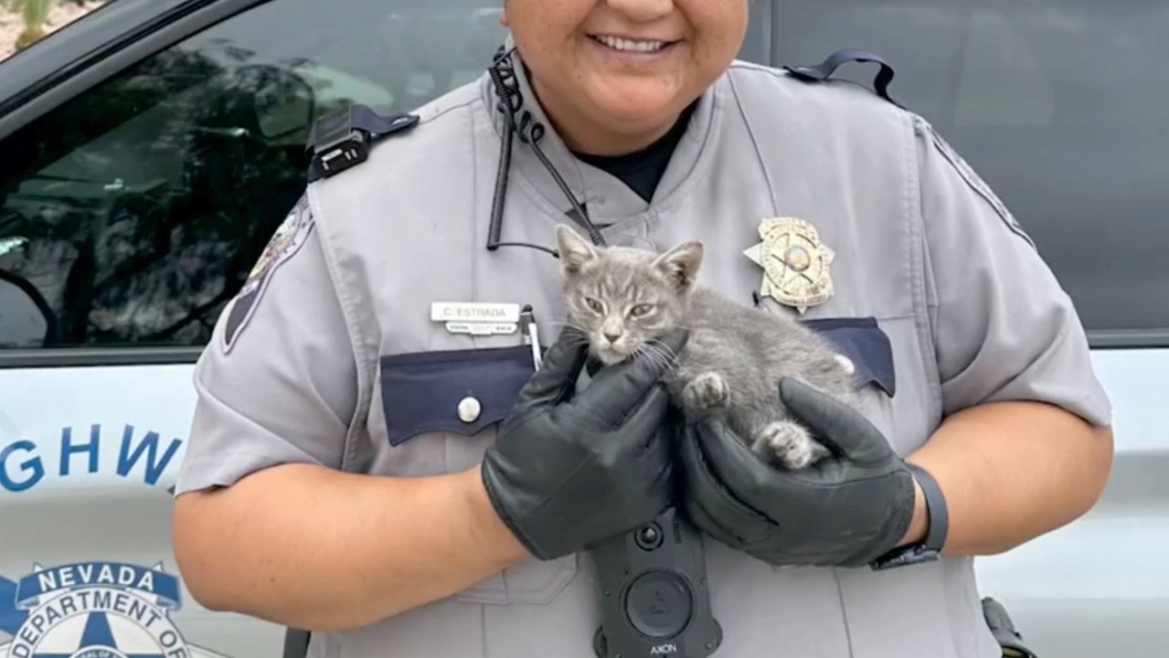 A Nevada State Trooper Stepped In to Rescue a Stranded Kitten