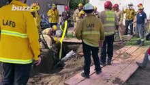 LA Firefighters Pulled a Horse to Safety After It Fell Into a Sinkhole